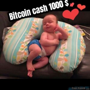 Bitcoin cash 1000 $ 